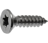 Саморез ЦКИ DIN 7983 4.2x25, остроконечный, TORX, А2, 200 шт. 53800