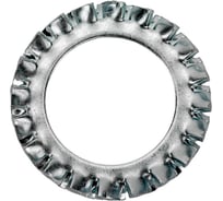 Стопорная шайба ЦКИ DIN6798 A М20 зубчатая Ц 20 шт. 1314