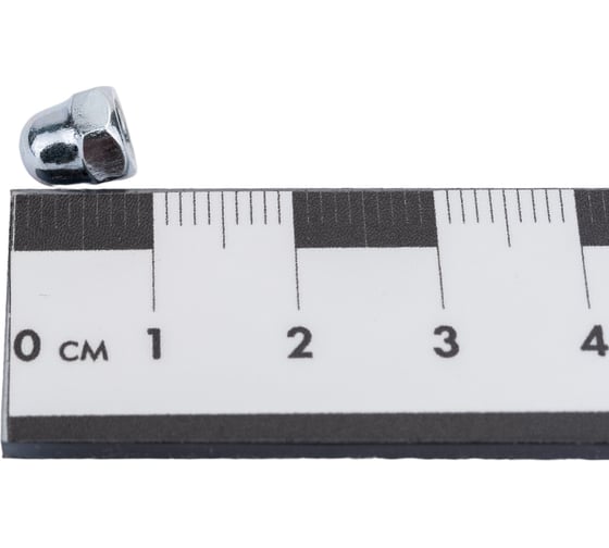 Колпачковая гайка ЕВРОПАРТНЕР DIN 1587, zn, m4, 8 шт. 12 0876 1