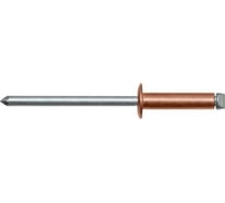 Тяговая заклепка ЦКИ Медь/Ст, плоская, 4.0x6 BRALO, 50 шт. 22380
