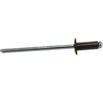 Тяговая заклепка ЦКИ Ал-Mg3.5/Ст, плоская, 4.0x10, черный RAL 9005 фланец, BRALO, 100 шт. 21408