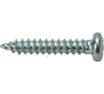 Шуруп с полукруглой головкой КРЕП-КОМП DIN7981 2,9х16 2000шт шп2916ф