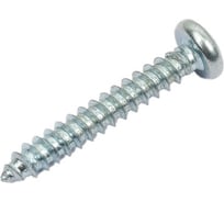 Шуруп с полукруглой головкой КРЕП-КОМП DIN7981 2,9х19 1500шт шп2919ф