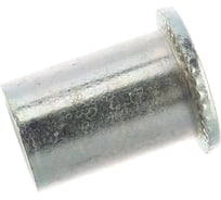 Заклепка с внутренней резьбой Bralo М10 СТ-ЦБ 150 шт 0301101012