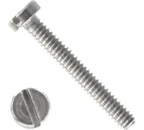 Винт с цилиндрической головой ВИРТУОЗ прямой шлиц, 3x10 мм, DIN 84, нерж. сталь А2, 20 шт. 44925