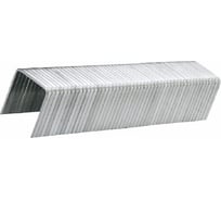 Скобы типа G (10 х 10.6 x 1.2 мм) 1000 шт. TOPEX 41E410