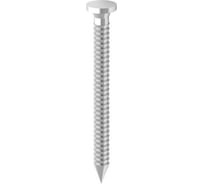 Гвоздь HOLZTECHNIC anker (250) HT4050
