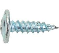 Саморезы КРУТ 4.2x16 мм, прессшайба, остриё, 1 кг, 510 шт. 4687203297558