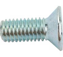Винт с потайной головкой Невский Крепеж DIN965 цинк, М8x20 8 шт. 812242