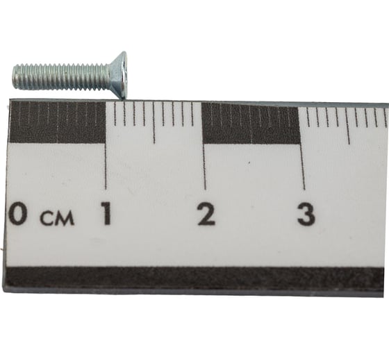 Винт Невский Крепеж din965 с потайной головкой цинк м3x12 (10 шт) 802752