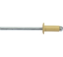 Крашенная заклепка алюм/сталь Kenner 4х10 RAL1014 1000шт зк4101014