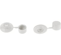 Кровельная шайба с колпачком STARFIX бесцветная, 250 шт. SMP-21754-250