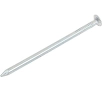 Строительные гвозди Зубр МАСТЕР оцинкованные ГОСТ 4028-63, 2.5х50мм, 5кг (примерно 2510 шт.) 305030-25-050