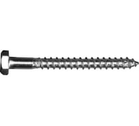 Сантехнический шуруп Невский Крепеж 10x160, 2 шт. пакет нк 813139
