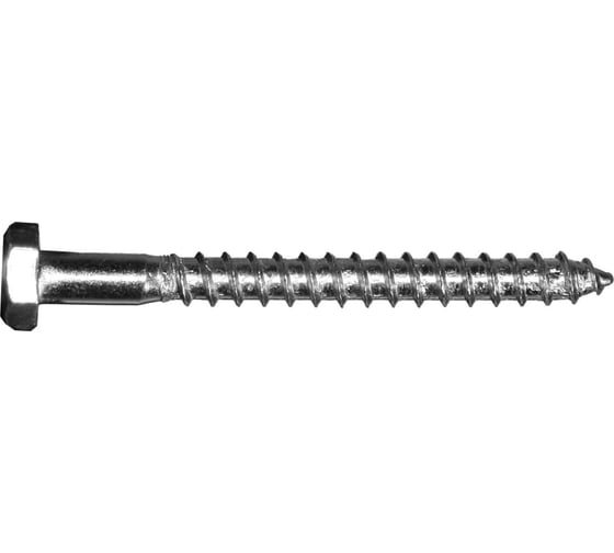 Сантехнический шуруп Невский Крепеж 10x160, 2 шт. пакет нк 813139 1