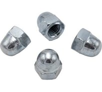 Колпачковая гайка Rizzel DIN 1587 М5 цинк 2000 шт 00000340231