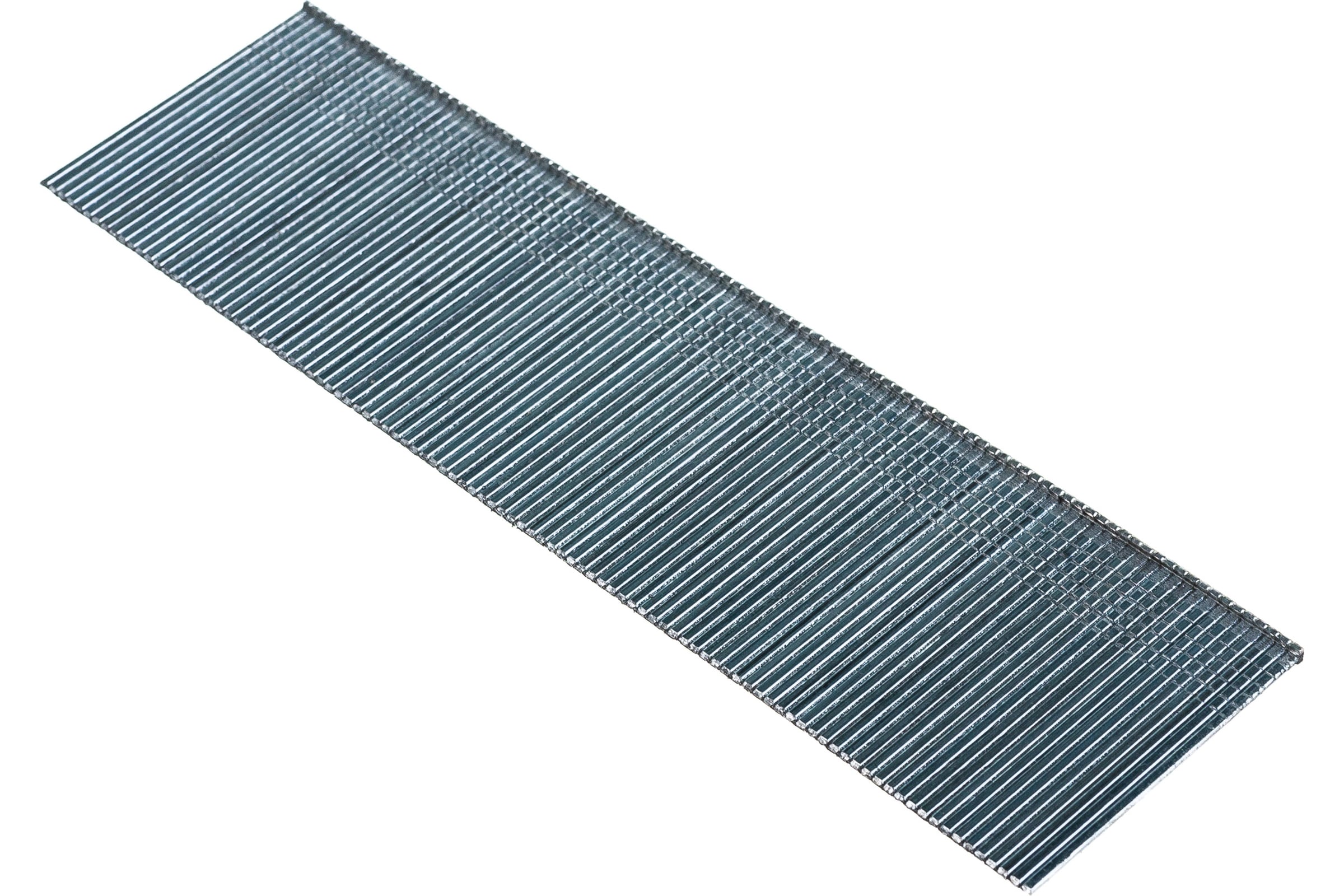 54342804.jpg