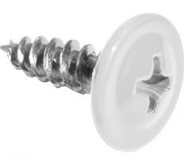 Саморез Daxmer ПШ 4,2х25 RAL 9003 500шт 08132