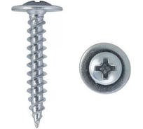 Саморез с прессшайбой ООО Онежский саморез 4,2x25 острый, цинк, 1 кг 7oso4225