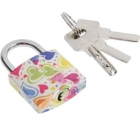 Навесной замок ТУНДРА 32x69 мм, МИКС 4674210