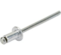 Заклепка Невский Крепеж 3,2x6 100 шт. 802215