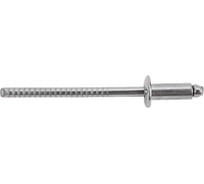 Заклепка Невский Крепеж А2/А2, 3,2x8 100 шт. 826444