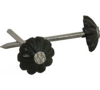 Гвоздь с декор. шляпкой Невский Крепеж черная, 80 шт. 800796