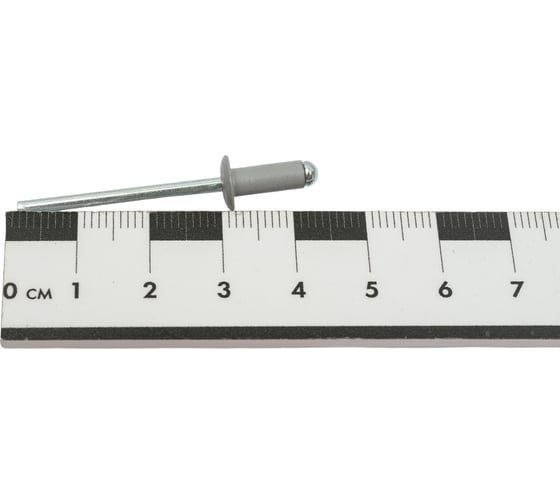 Заклепка  RAL7004 (4х10 мм; серый) 1000 шт. Kenner зк4107004