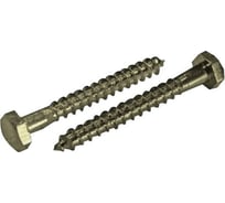 Сантехнический шуруп ЦКИ DIN 571, 16x140, Ц, SW 24 5 шт. 3396