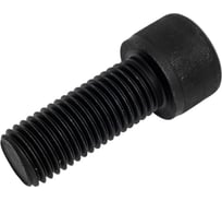 Винт ЦКИ DIN 912, М24x60 12.9, ОКС, HEX 19 1 шт. 21909