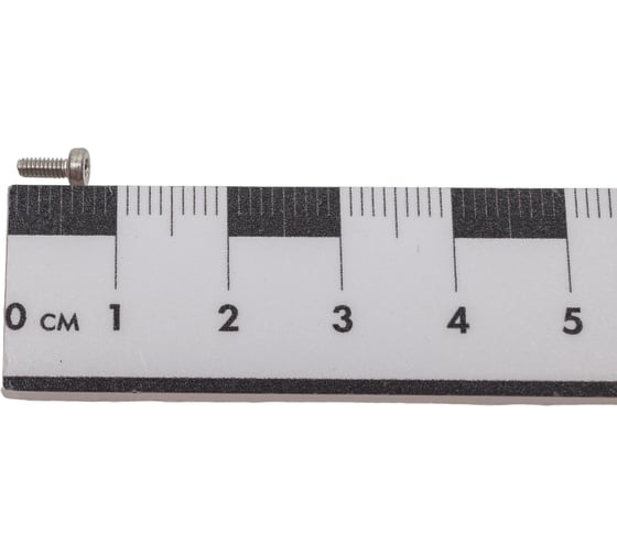 Винт ЦКИ ISO 14580, М2x5 A2 TX 6 100 шт. 76899
