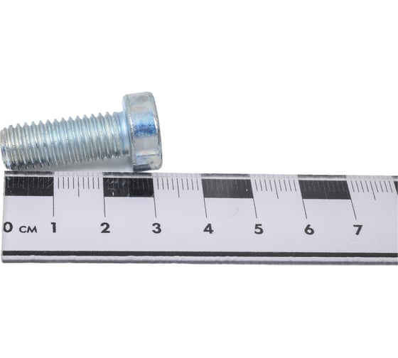 Винт ЦКИ DIN 7984, М10x25 8.8, Ц, HEX 7 25 шт. 23503