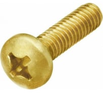 Винт ЦКИ DIN 7985, М3x10 латунь, Ph 1 20 шт. 45252