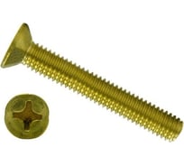 Винт ЦКИ DIN 965, М6x16 латунь, 40 шт. 76974
