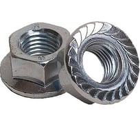 Шестигранная гайка с фланцем BEFAST DIN 6923, цинк, М12, 100 шт. 6923F12100S