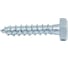 Сантехнический болт DIN 571, оцинкованный, 6x30 мм, 6 шт. в пакете Zitar 102579 1
