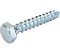 Сантехнический болт DIN 571 оцинкованный 8х50, 2шт - пакет Tech-Krep/Zitar 102587