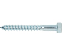 Сантехнический болт DIN 571 оцинкованный 8х70, 2шт - пакет Tech-Krep/Zitar 102589