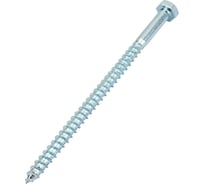 Сантехнический болт DIN 571 оцинкованный 8х140, 2шт - пакет Tech-Krep/Zitar 113136