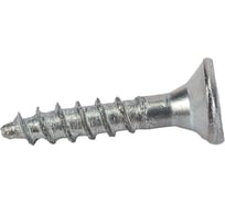 Саморез Tech-Krep/Zitar ШУц 2,5х13 потайная головка 25 шт, пакет 102404