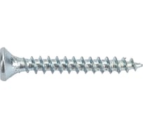 Саморез Tech-Krep/Zitar ШУц 2,5х20 потайная головка 25 шт, пакет 102406