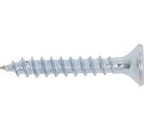 Саморез Tech-Krep/Zitar ШУц 3,0х20 потайная головка 30 шт, пакет 102410