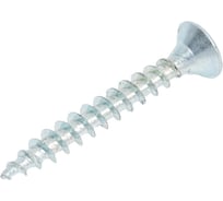 Саморез Tech-Krep/Zitar ШУц 4,0х30 потайная головка 17 шт, пакет 102428