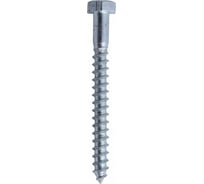 Саморез с шестигранной головкой 6.0х60 острый, цинк, 4шт Ekt 71306060