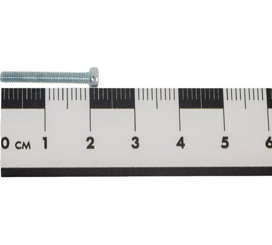 Винт Зубр МАСТЕР M3x20мм, 5кг (примерно 4167 шт.) 303150-03-020