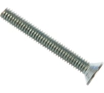 Винт Зубр МАСТЕР M4x30мм, 5кг (примерно 2000 шт.) 303110-04-030