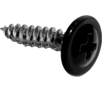 Саморез с прессшайбой, наконечник-острый, 4.2х16, RAL9005 черный темный, 150шт Ekt 10829603