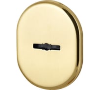 Декоративная накладка на сувальдный замок со шторкой ARMADILLO PS-DEC CT (ATC Protector 1) GP-2 золото 35589