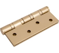 Универсальная петля ARMADILLO IN4500UC-BL FSG 100x75x3 INOX304 флорентийское золото, блистер 46731