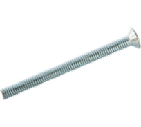 Винт Зубр МАСТЕР M5x55мм, 5кг (примерно 740 шт.) 303110-05-055